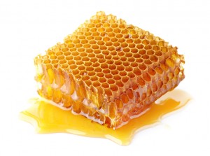 Honeycomb in closeup