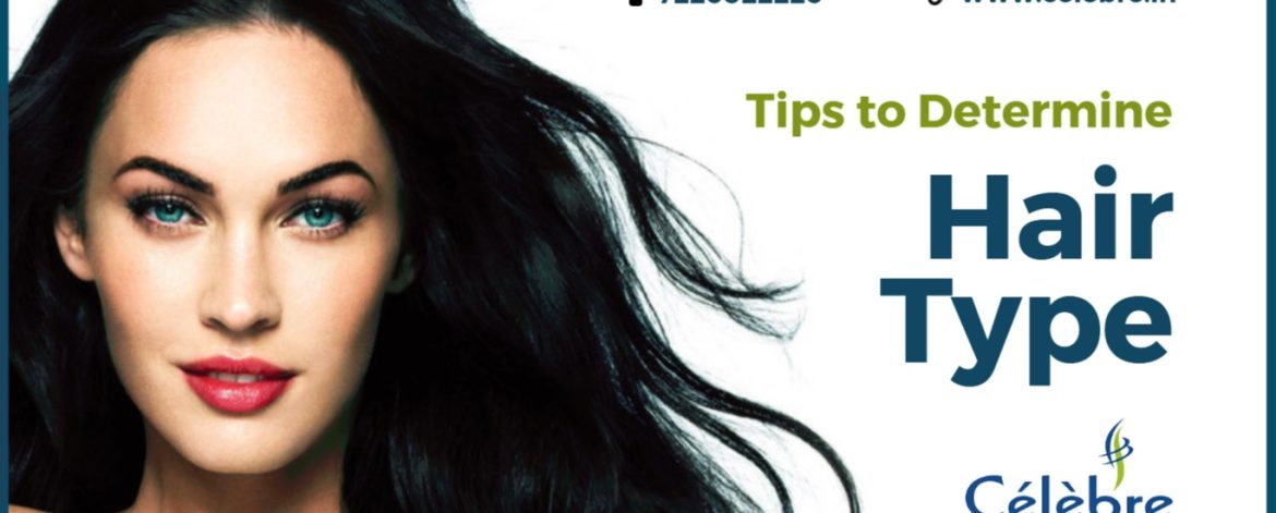 Tips-to-Determine-Your-Hair-Type-at-Home Tips-to-Determine-Your-Hair-Type-at-Home