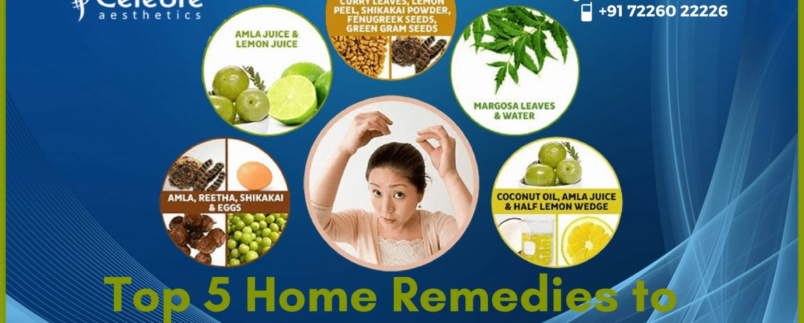 Top-5-Home-Remedies-to-Reduce-Hair-Fall Top-5-Home-Remedies-to-Reduce-Hair-Fall